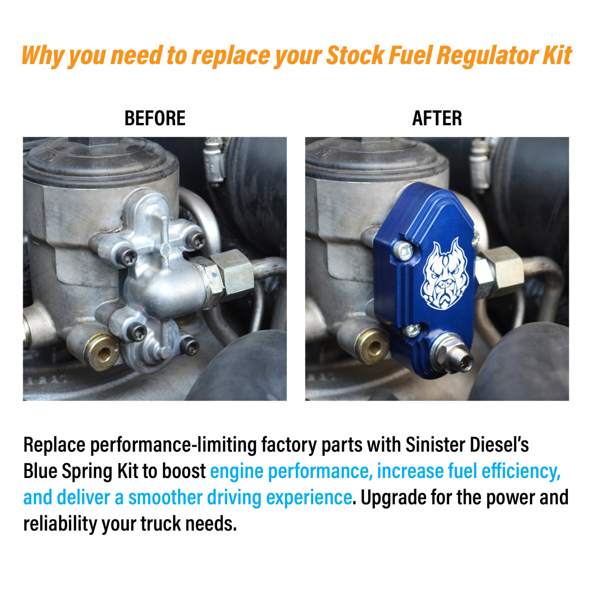 Blue Spring Kit with Adjustable Billet Spring Housing for 2003